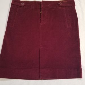 Winter skirt